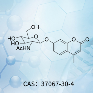 4-甲基傘形酮 2-乙酰...