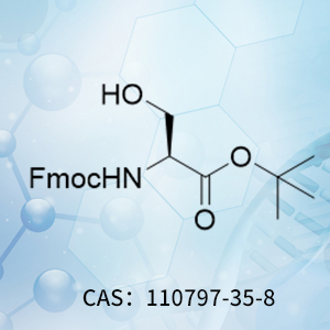 N α-[(9H-芴-9-基甲...