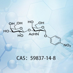 對硝基苯-T抗原 CAS...